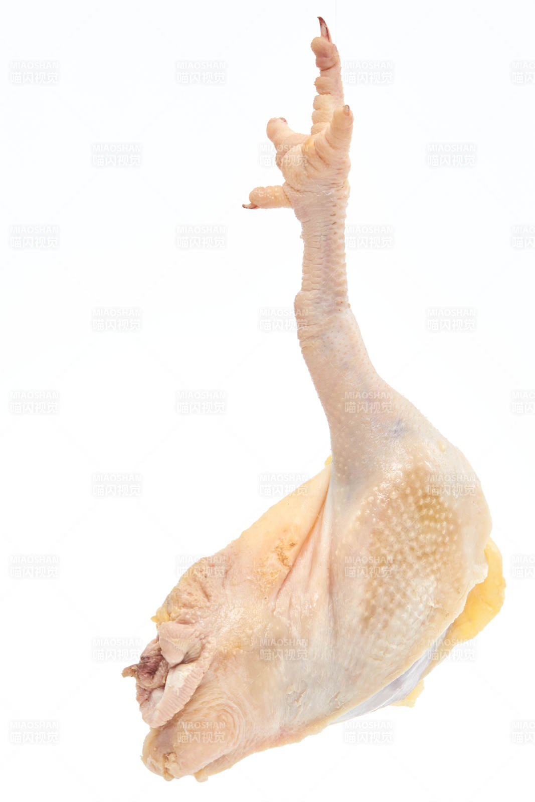 摆放在白色背景上分切好的生鲜鸡腿
