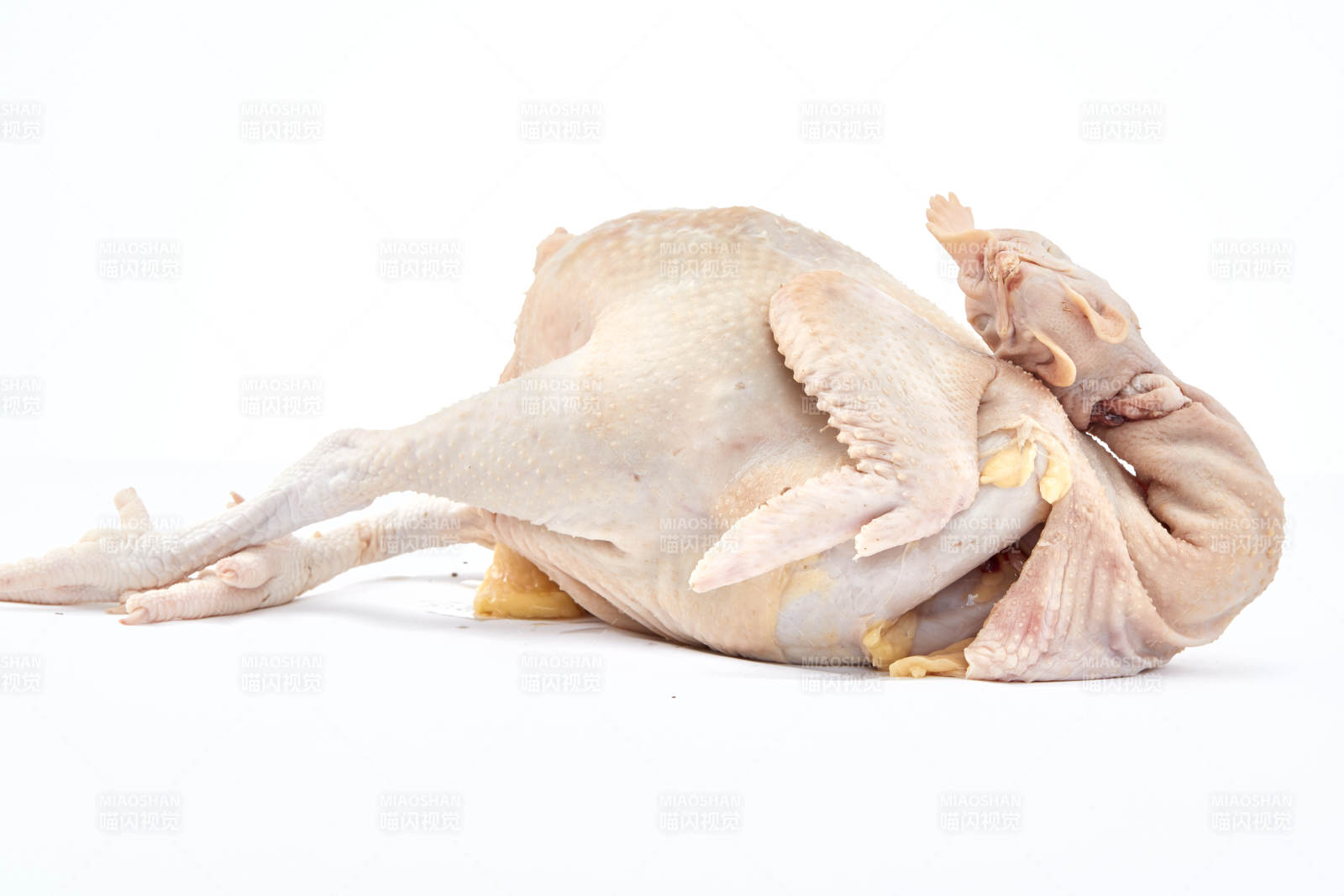 摆放在白色背景上的生鲜鸡肉整鸡