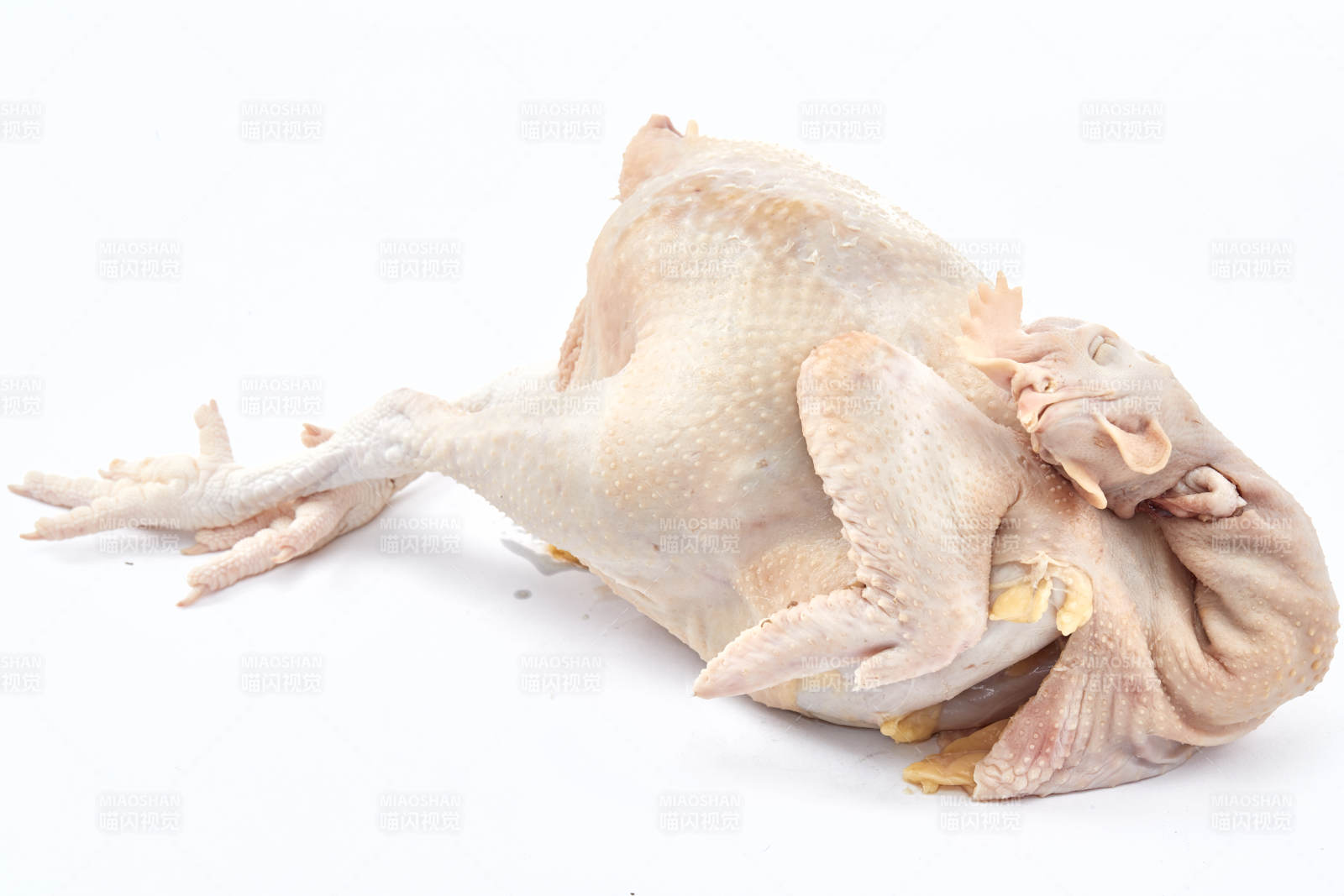 摆放在白色背景上的生鲜鸡肉整鸡
