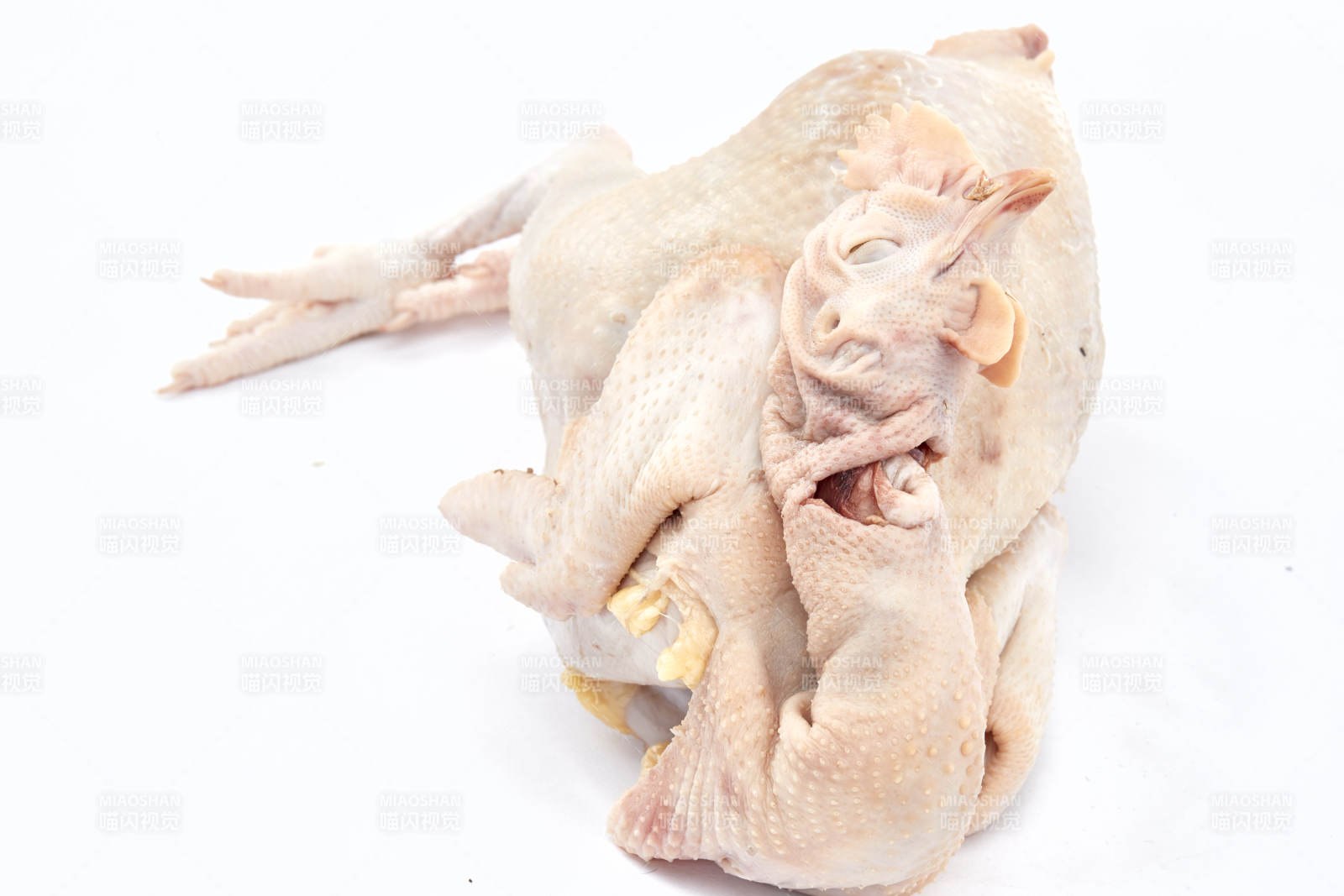 摆放在白色背景上的生鲜鸡肉整鸡