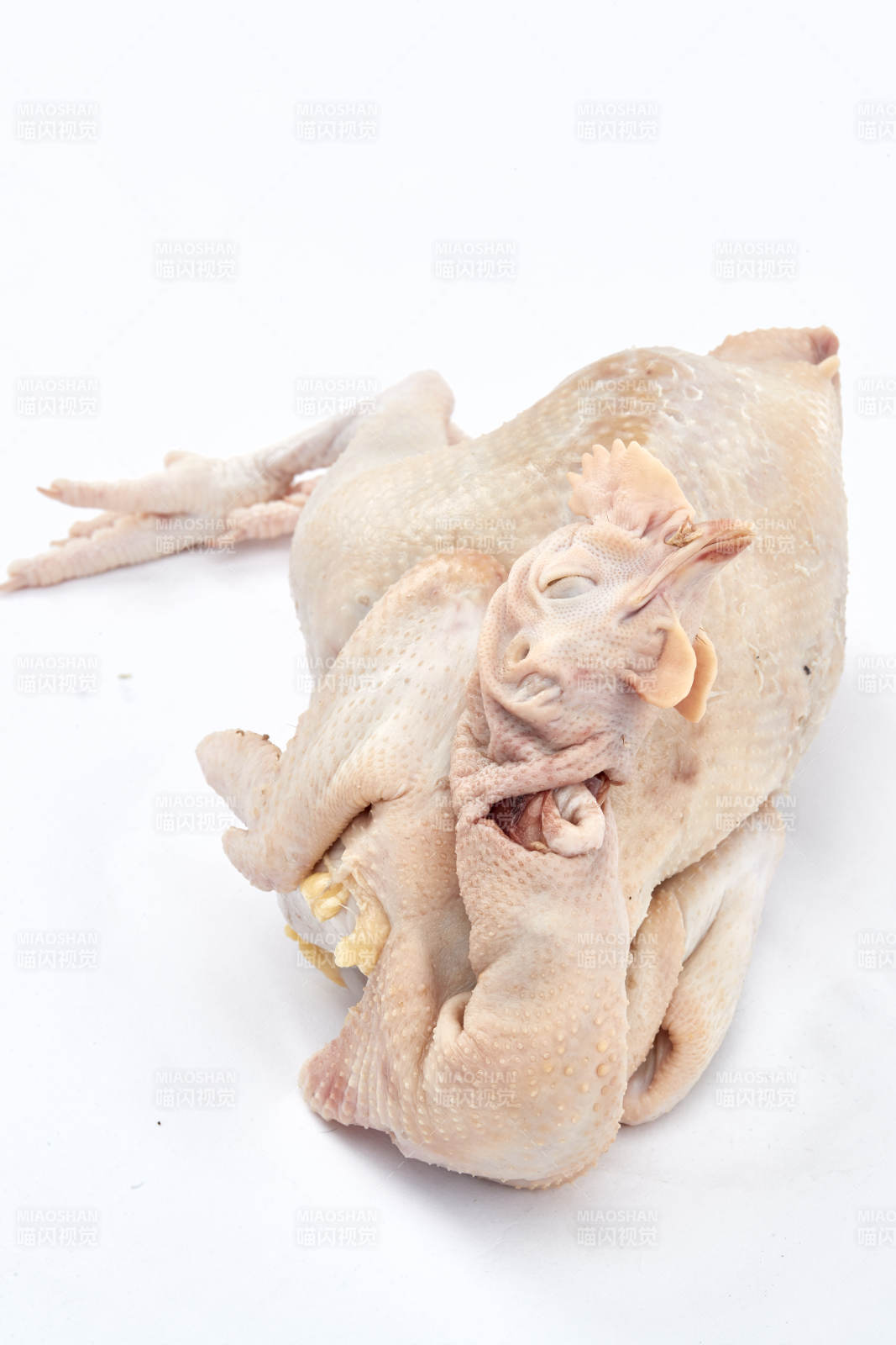 摆放在白色背景上的生鲜鸡肉整鸡