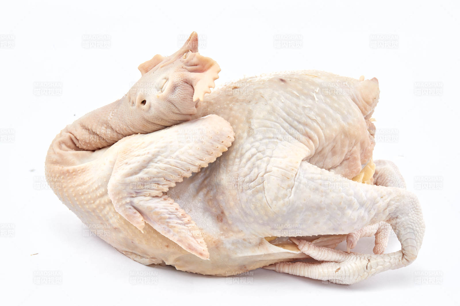 摆放在白色背景上的生鲜鸡肉整鸡