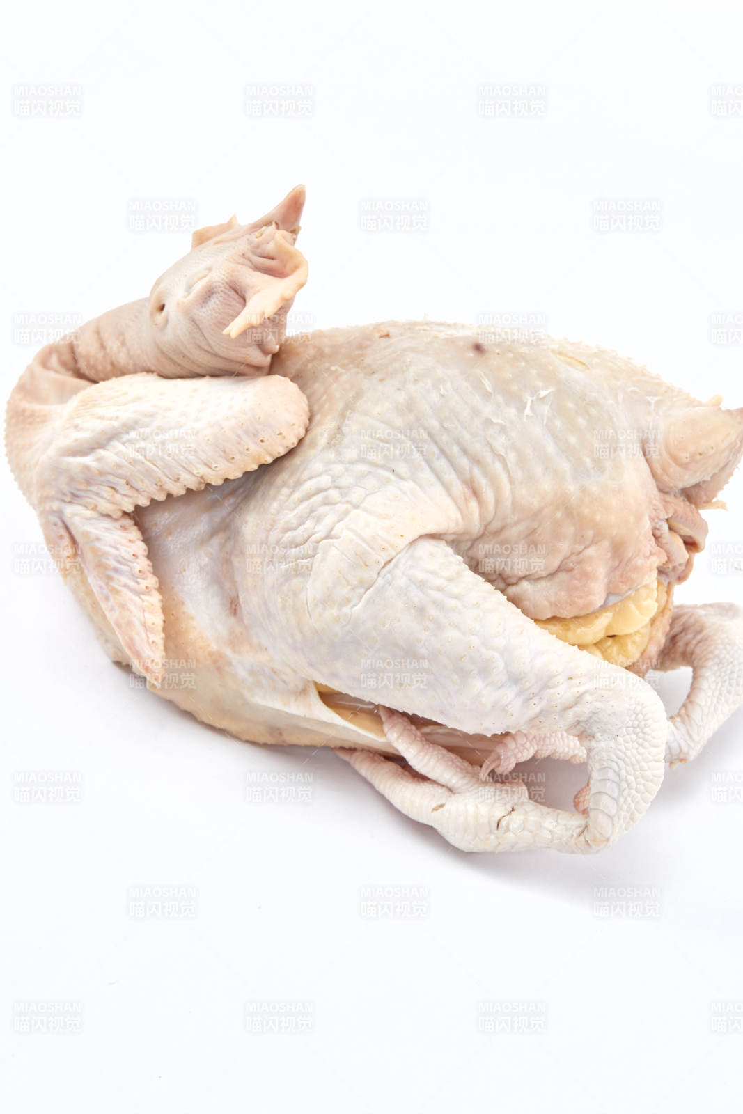 摆放在白色背景上的生鲜鸡肉整鸡