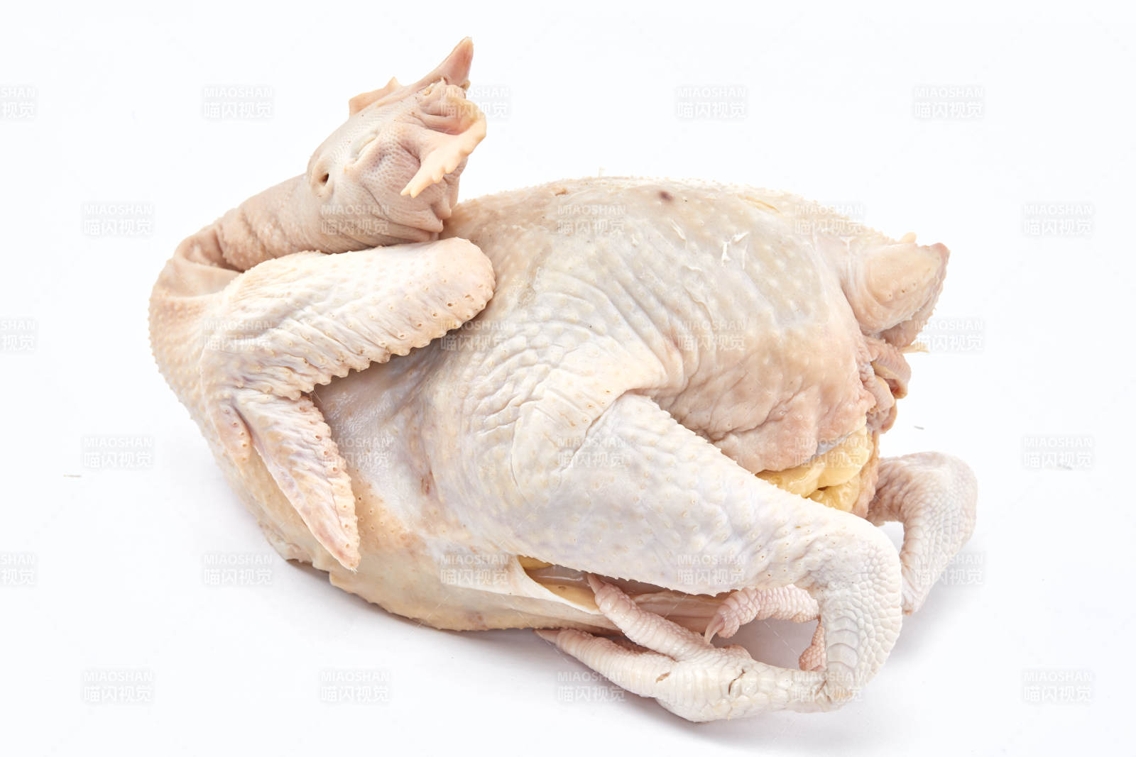 摆放在白色背景上的生鲜鸡肉整鸡