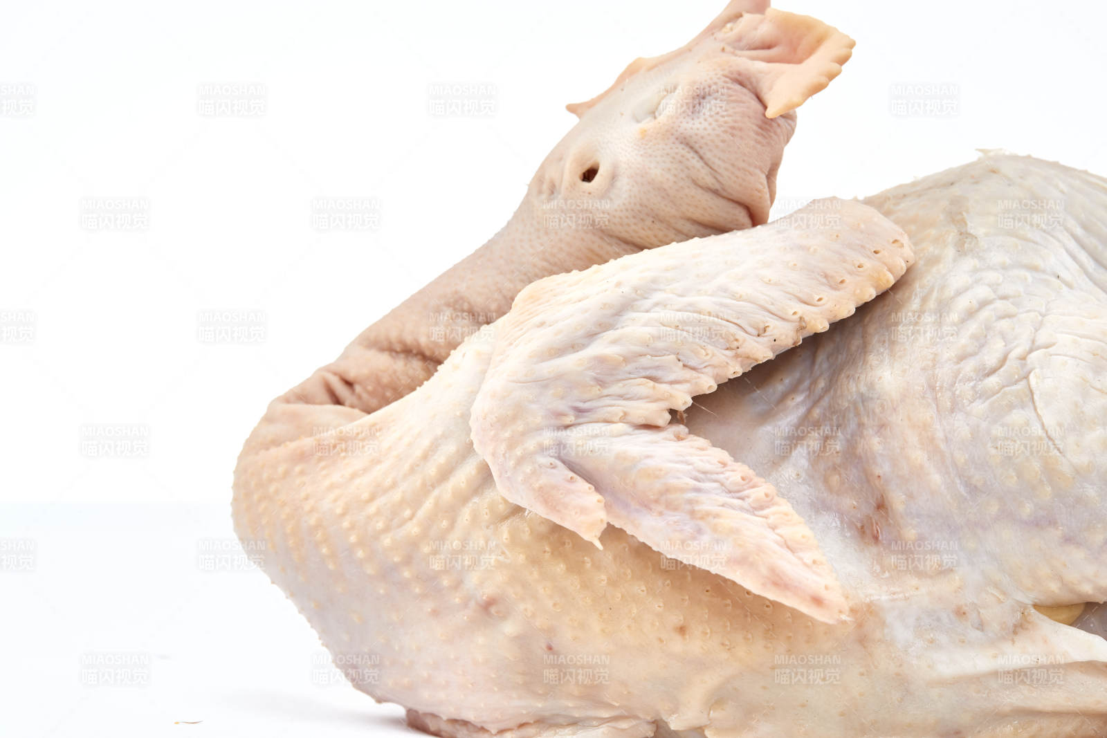 摆放在白色背景上的生鲜鸡肉整鸡