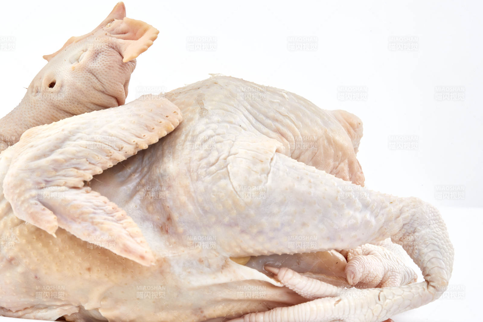 摆放在白色背景上的生鲜鸡肉整鸡