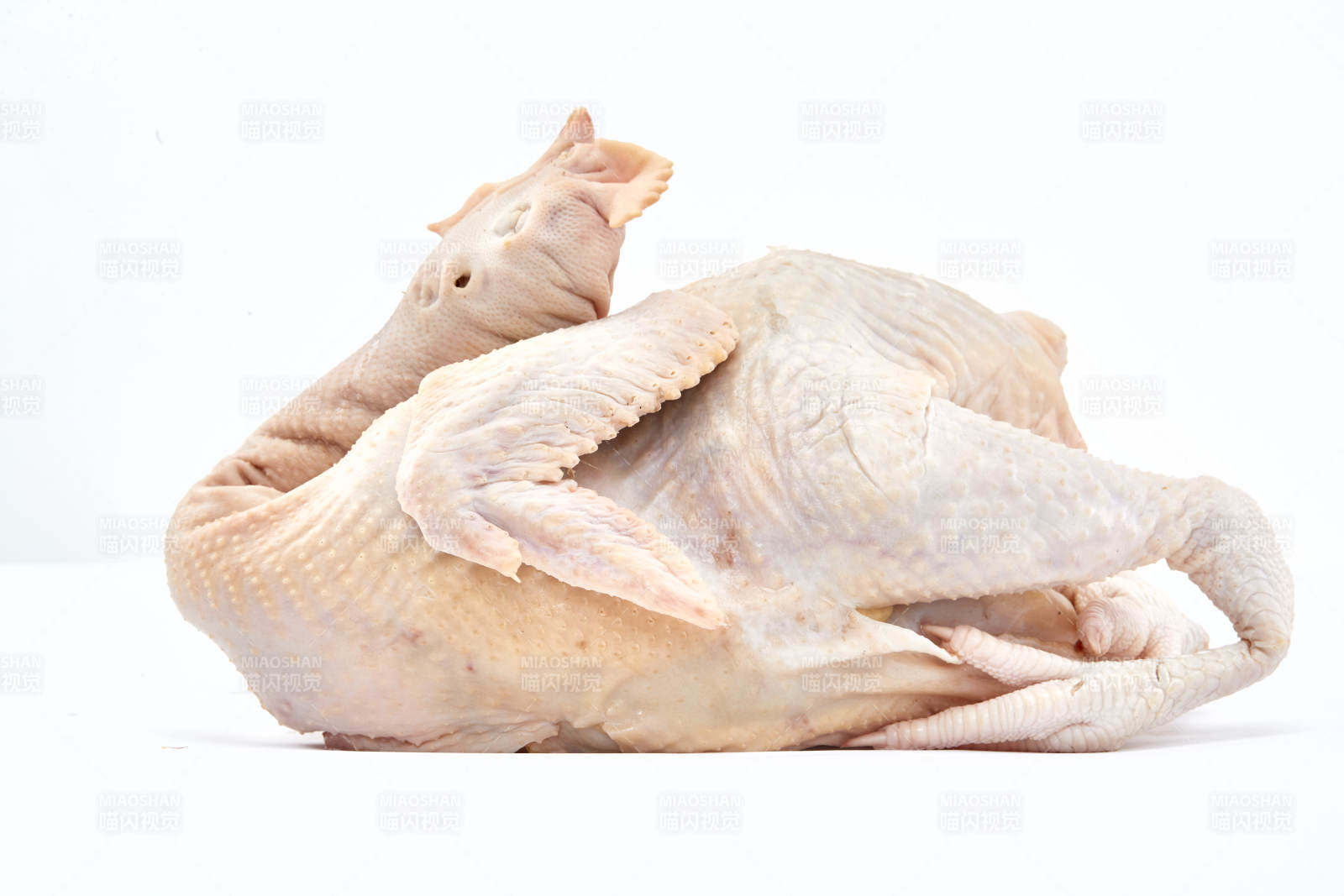 摆放在白色背景上的生鲜鸡肉整鸡