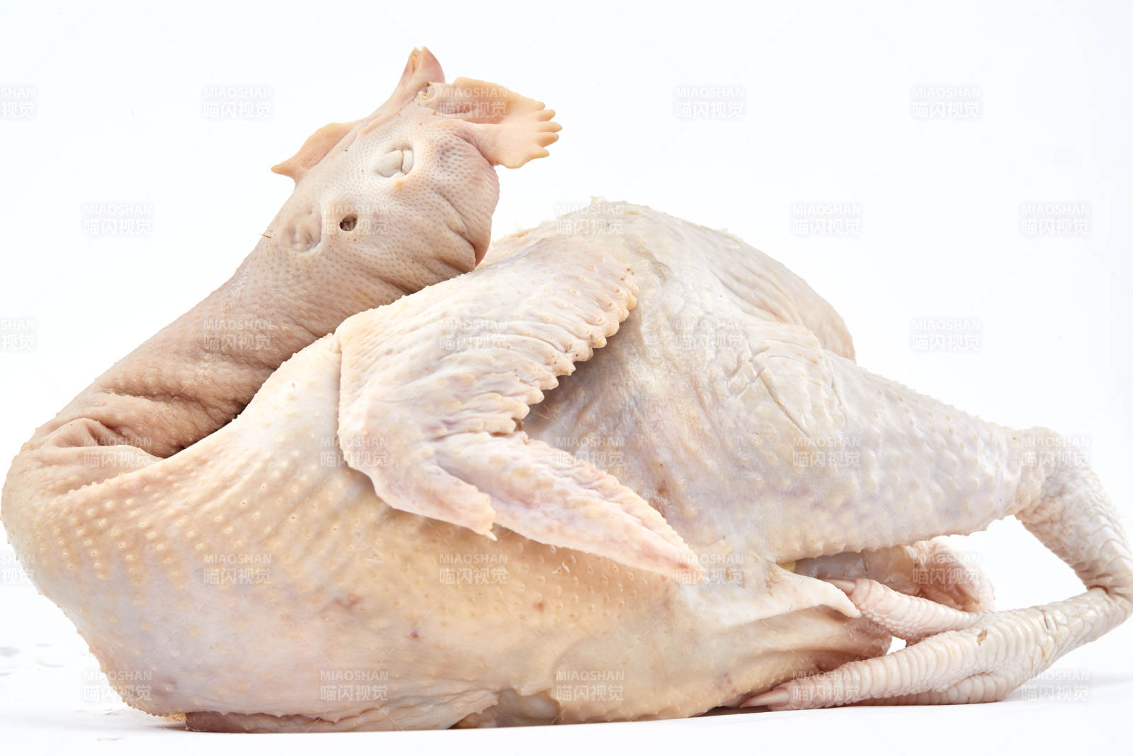 摆放在白色背景上的生鲜鸡肉整鸡