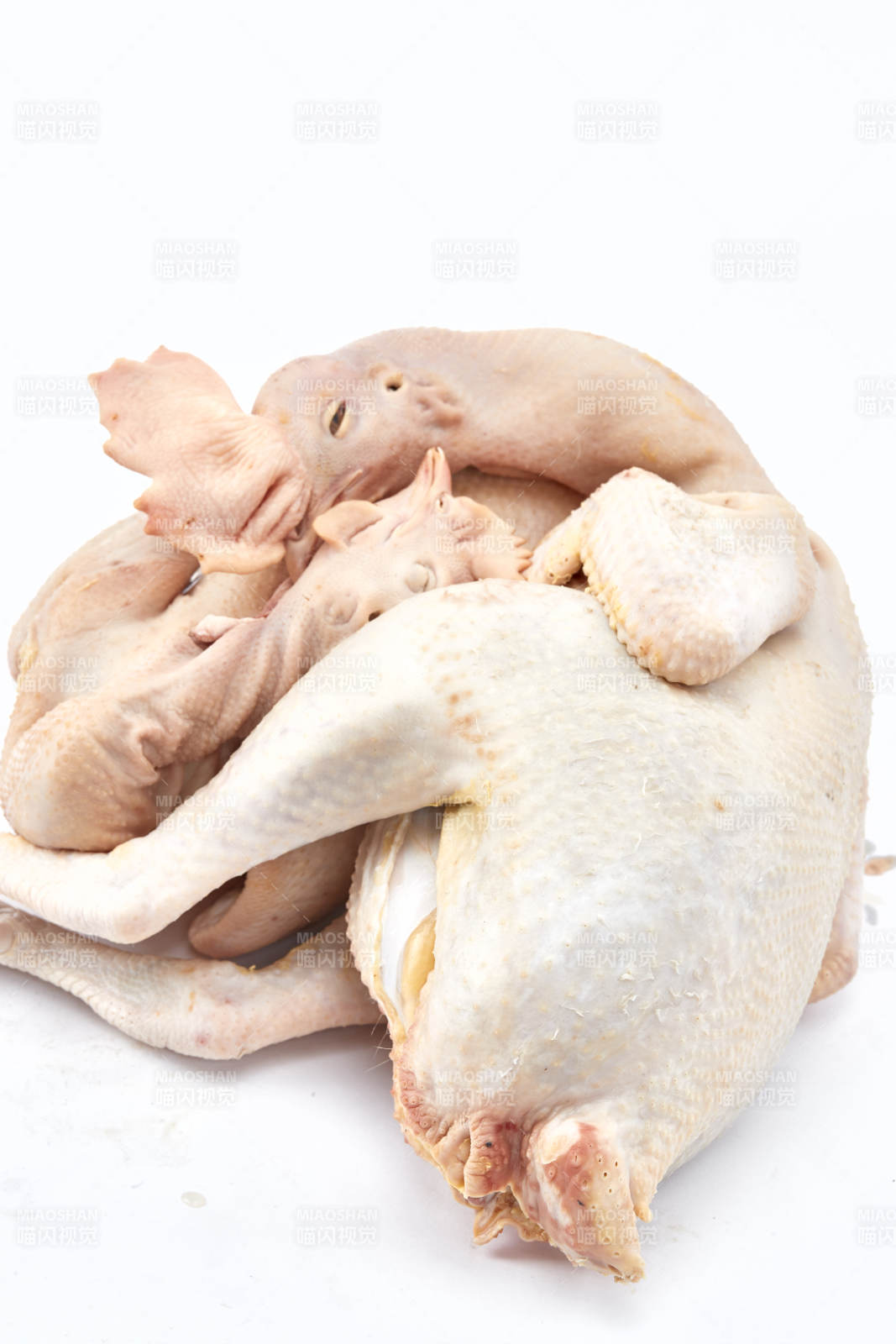 摆放在白色背景上的生鲜鸡肉整鸡