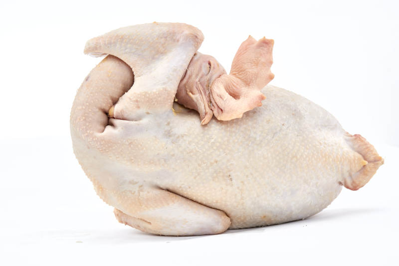 摆放在白色背景上的生鲜鸡肉整鸡