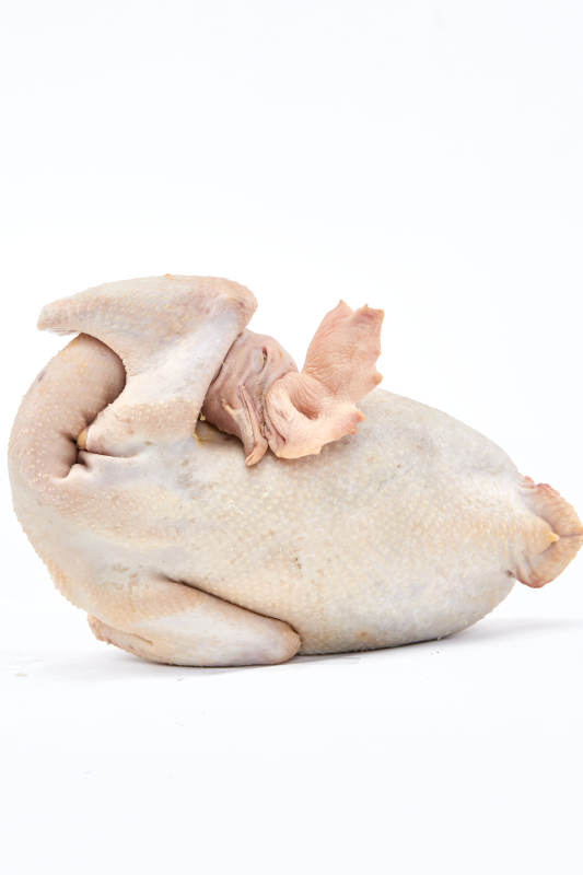 摆放在白色背景上的生鲜鸡肉整鸡