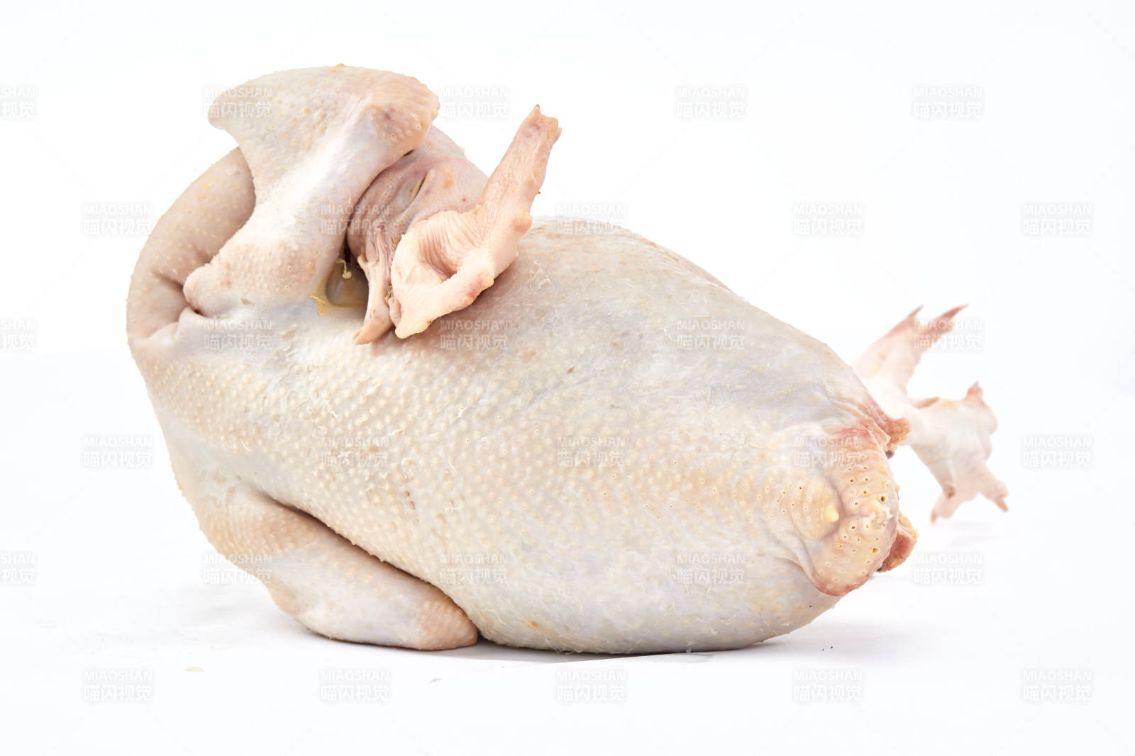 摆放在白色背景上的生鲜鸡肉整鸡