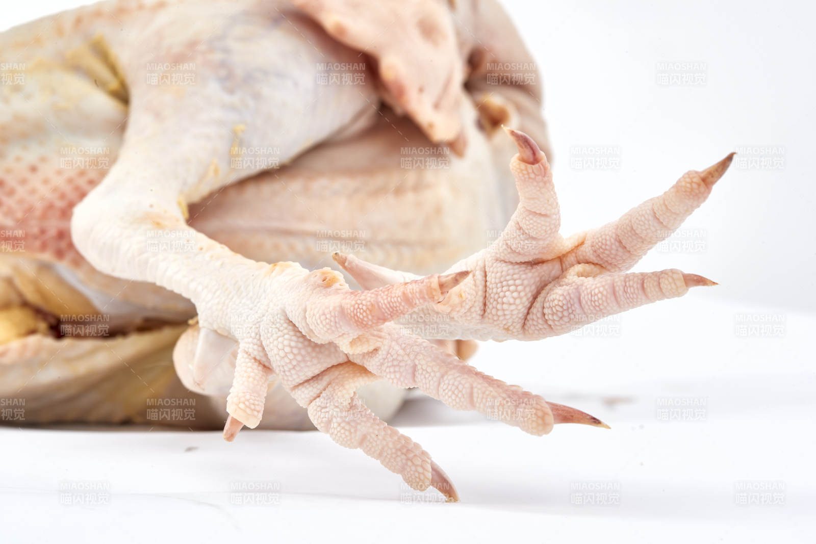 摆放在白色背景上的生鲜鸡肉整鸡