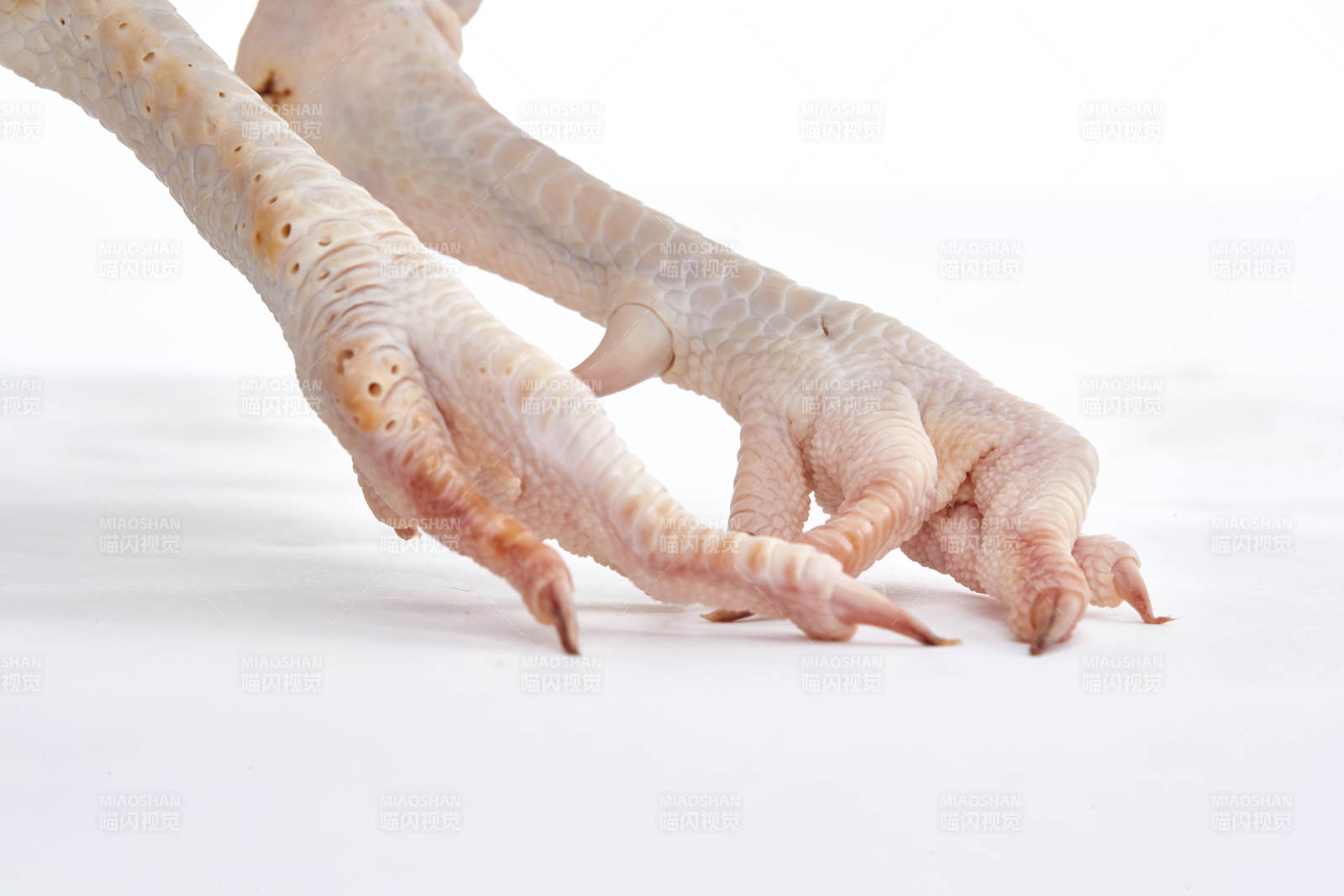 摆放在白色背景上的生鲜鸡肉整鸡