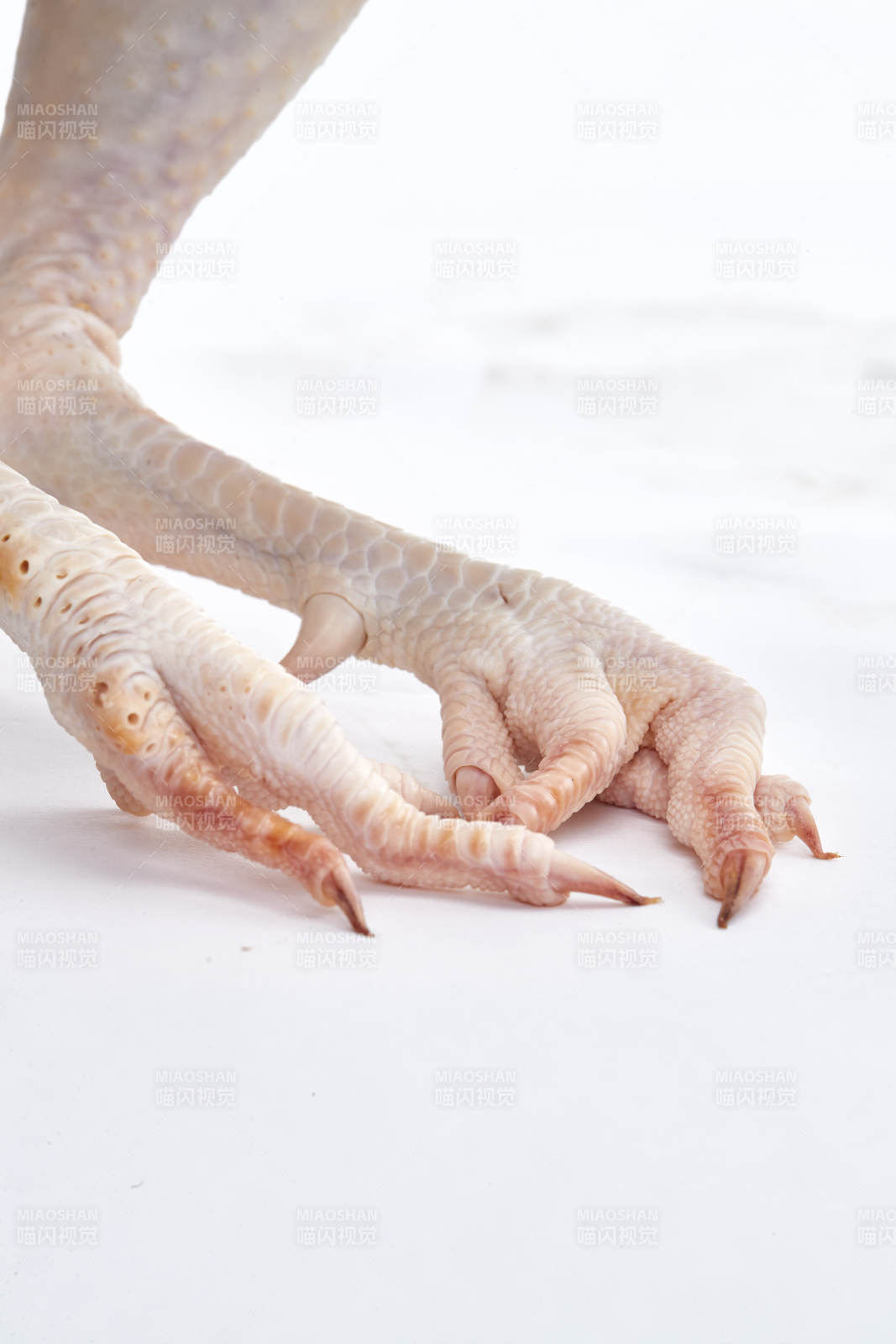 摆放在白色背景上的生鲜鸡肉整鸡