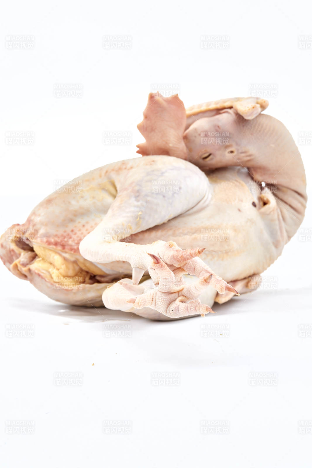 擺放在白色背景上的生鮮雞肉整雞