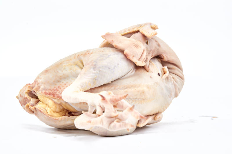 摆放在白色背景上的生鲜鸡肉整鸡