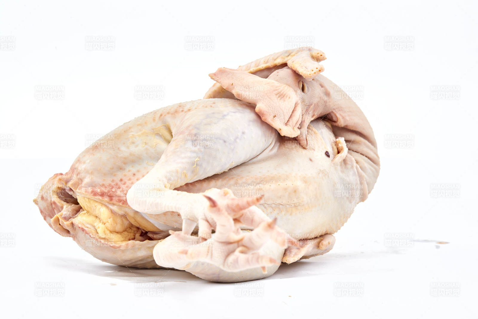 摆放在白色背景上的生鲜鸡肉整鸡
