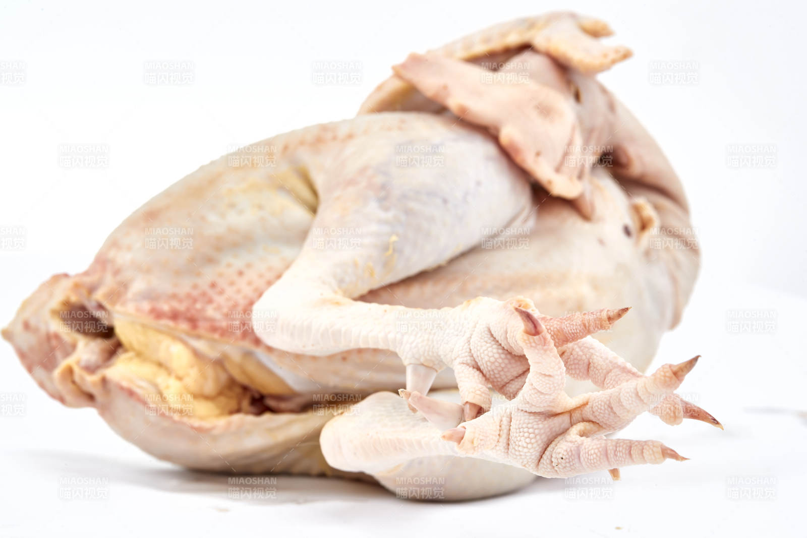 摆放在白色背景上的生鲜鸡肉整鸡