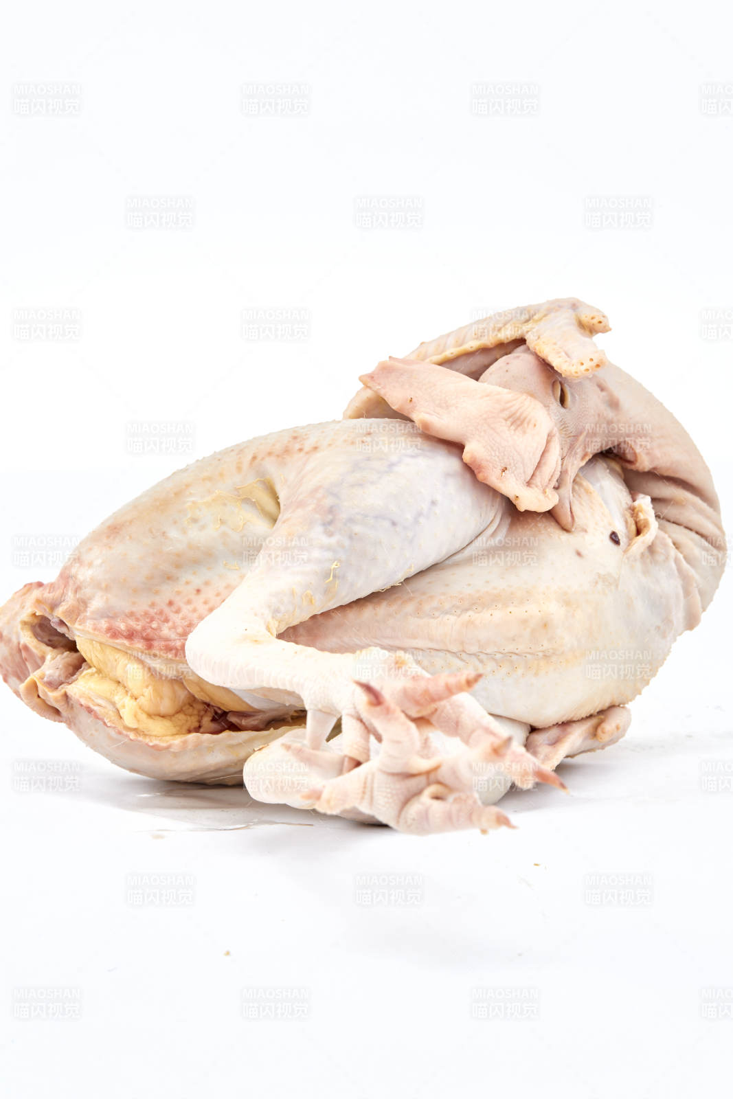 擺放在白色背景上的生鮮雞肉整雞