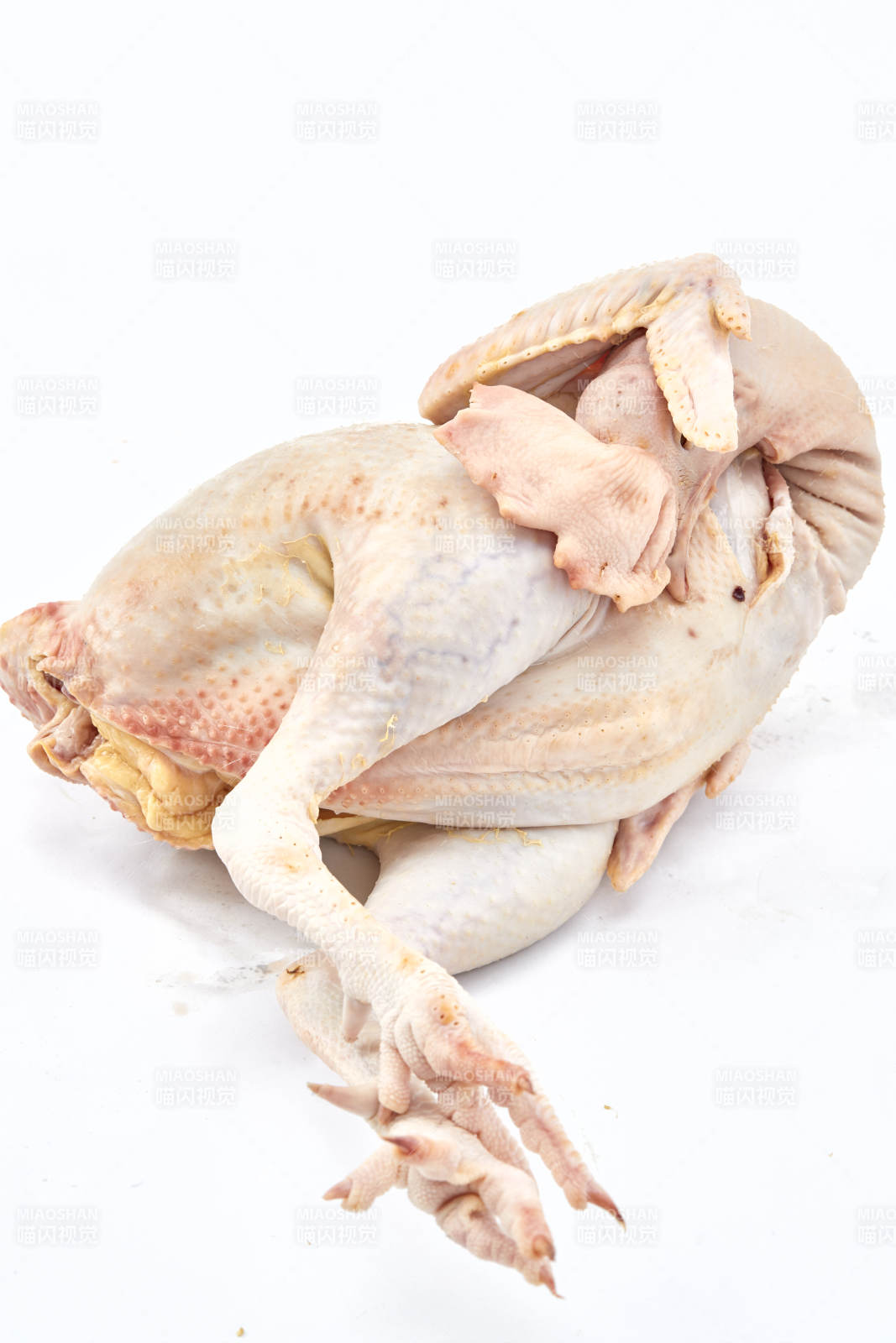 擺放在白色背景上的生鮮雞肉整雞