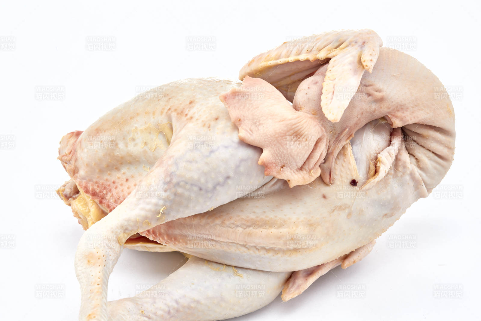摆放在白色背景上的生鲜鸡肉整鸡