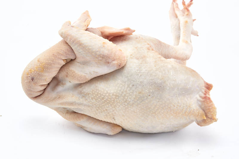 摆放在白色背景上的生鲜鸡肉整鸡