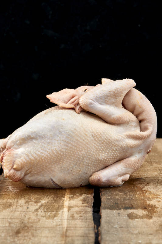 摆放在白色背景上的生鲜鸡肉整鸡