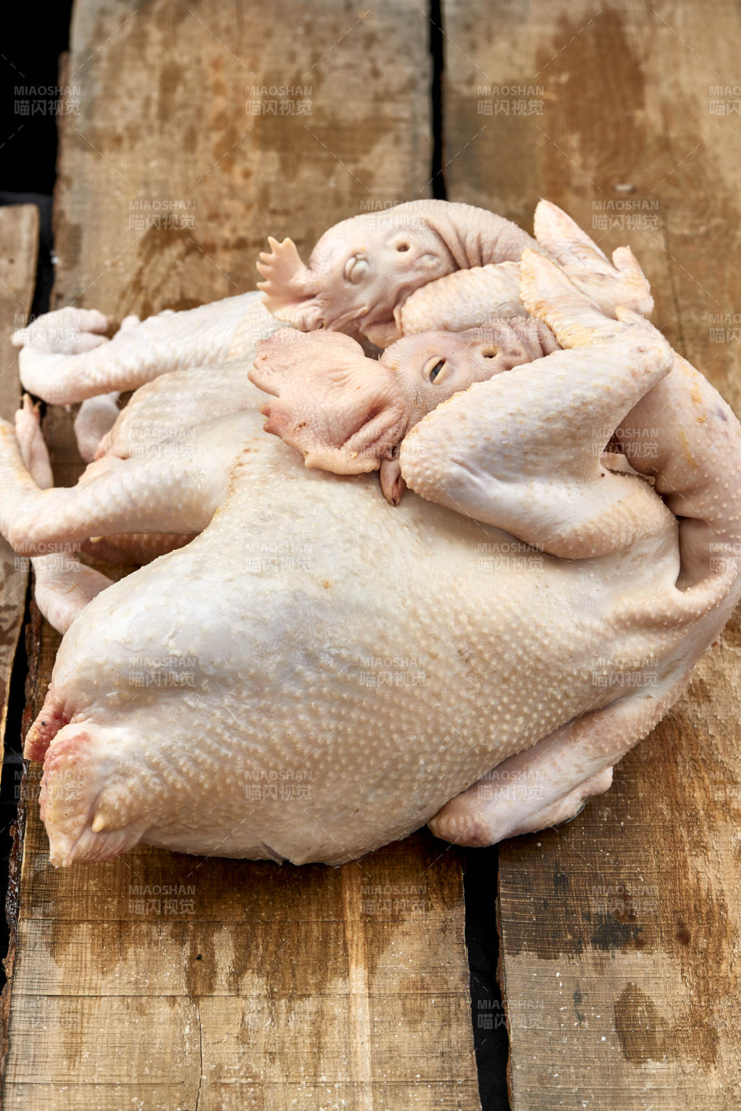 摆放在白色背景上的生鲜鸡肉整鸡