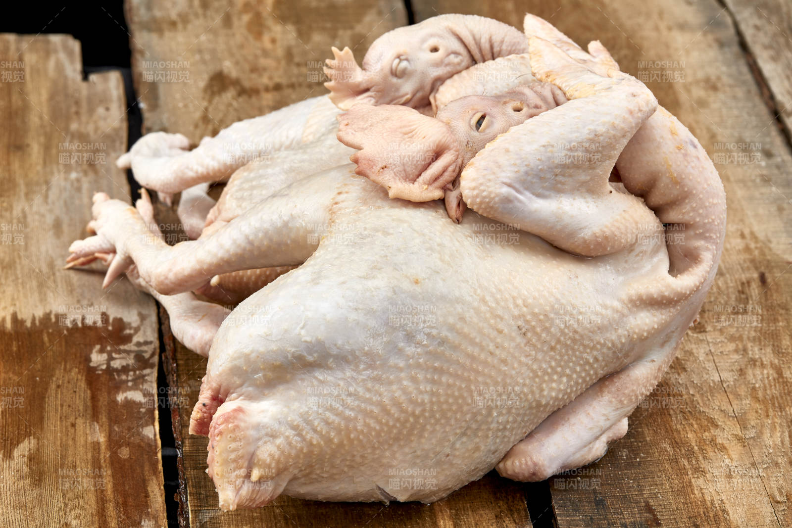 摆放在白色背景上的生鲜鸡肉整鸡