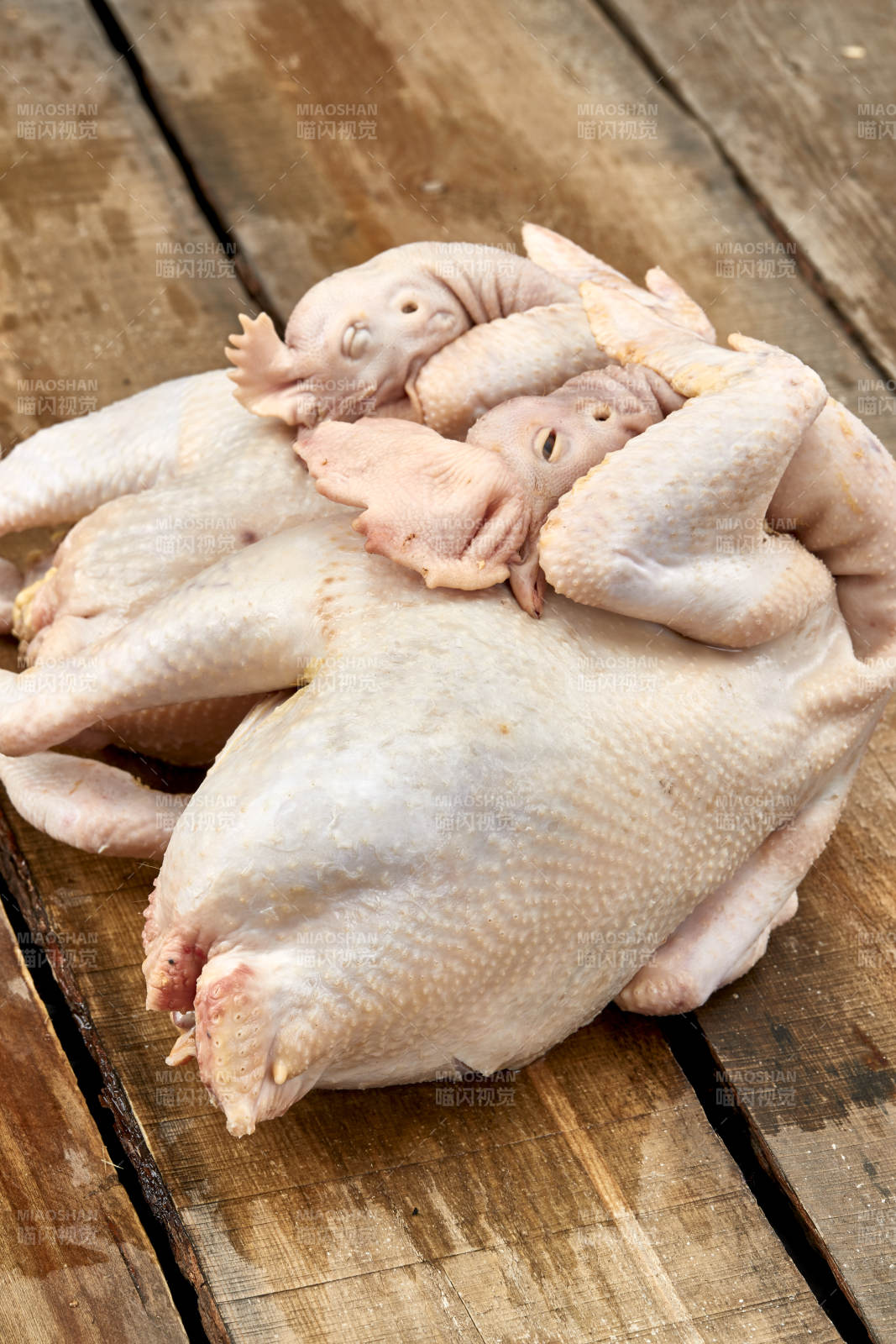 摆放在白色背景上的生鲜鸡肉整鸡