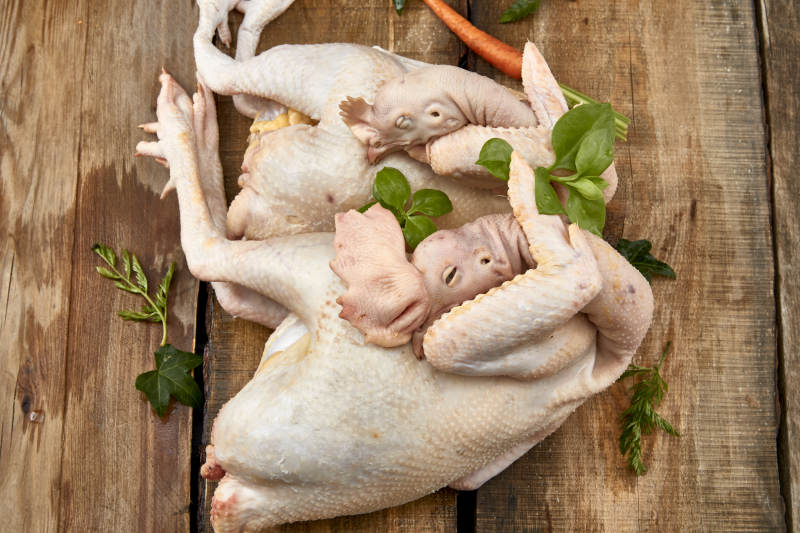 摆放在白色背景上的生鲜鸡肉整鸡