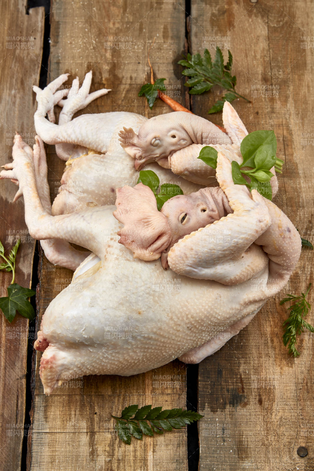 摆放在白色背景上的生鲜鸡肉整鸡