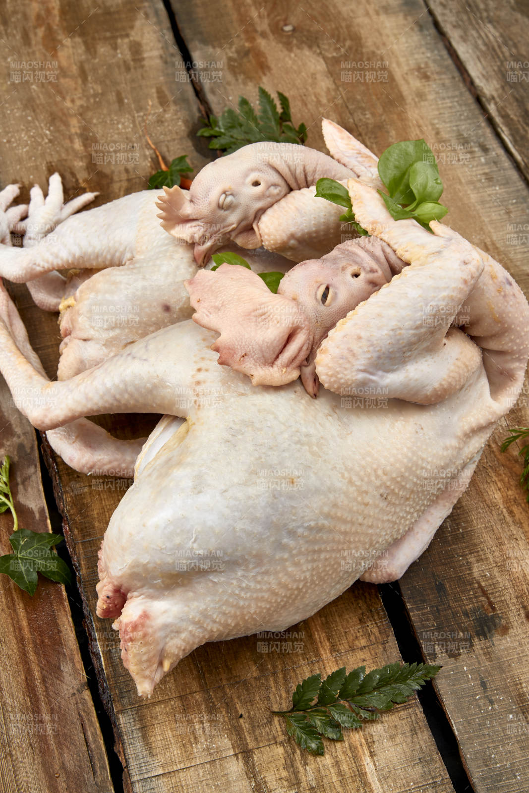 摆放在白色背景上的生鲜鸡肉整鸡