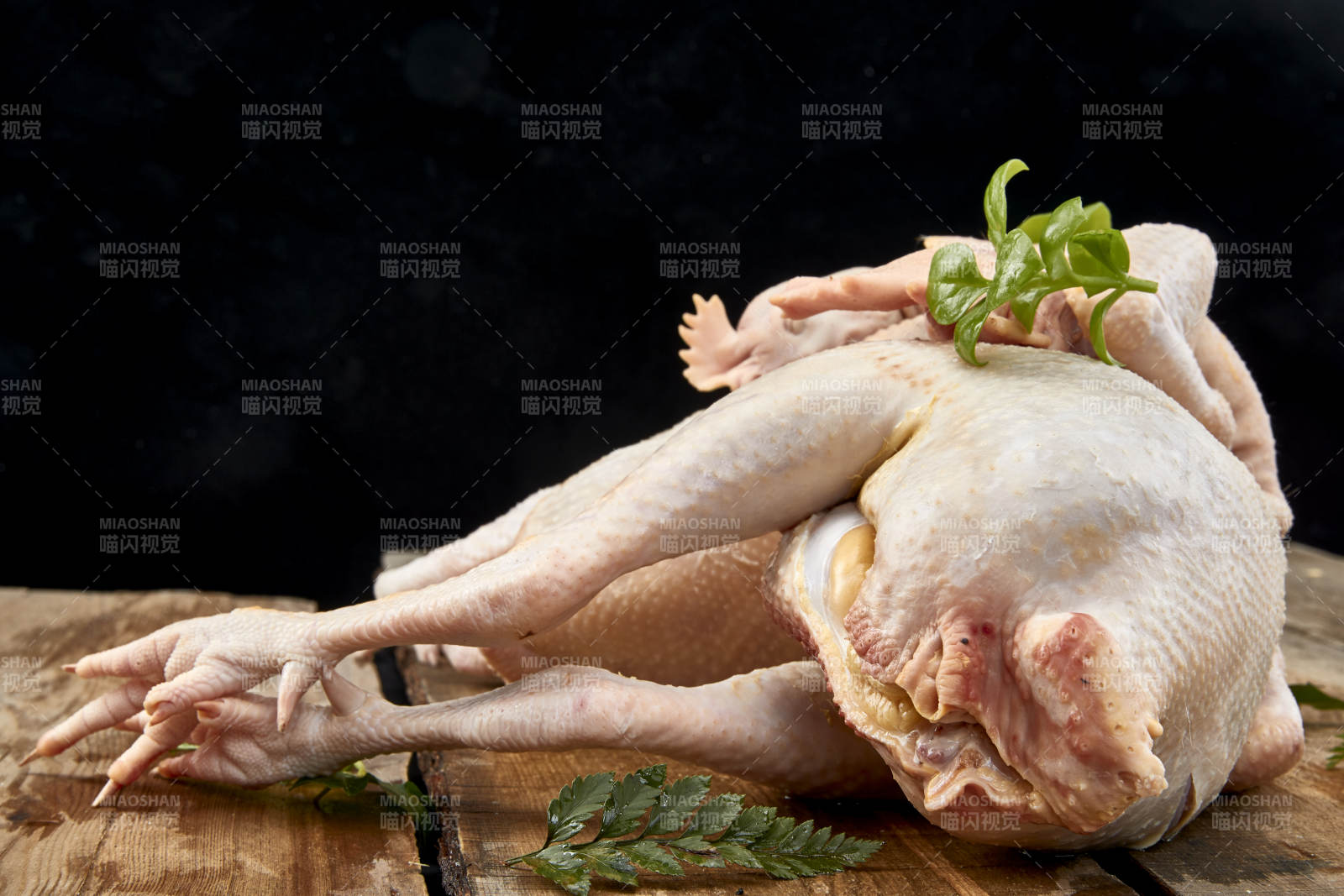 摆放在白色背景上的生鲜鸡肉整鸡