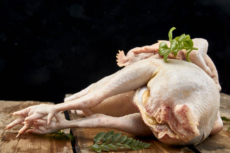 摆放在白色背景上的生鲜鸡肉整鸡