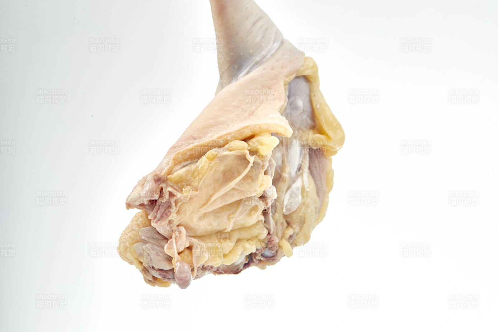 摆放在白色背景上分切好的生鲜鸡腿