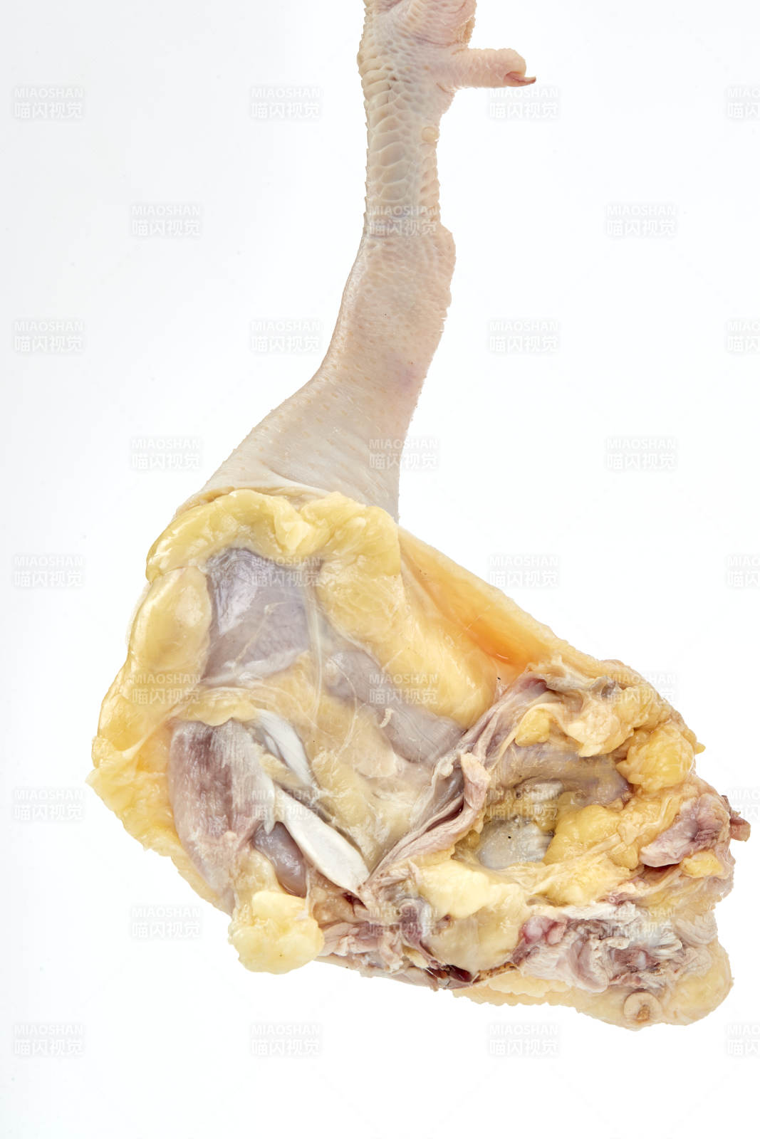 摆放在白色背景上分切好的生鲜鸡腿