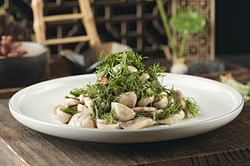 茴香碎凉拌塞外口蘑