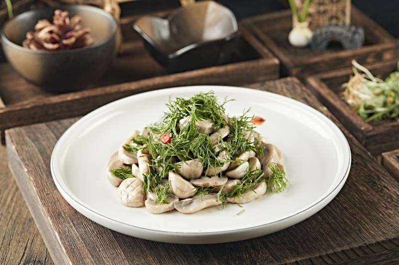 茴香碎凉拌塞外口蘑