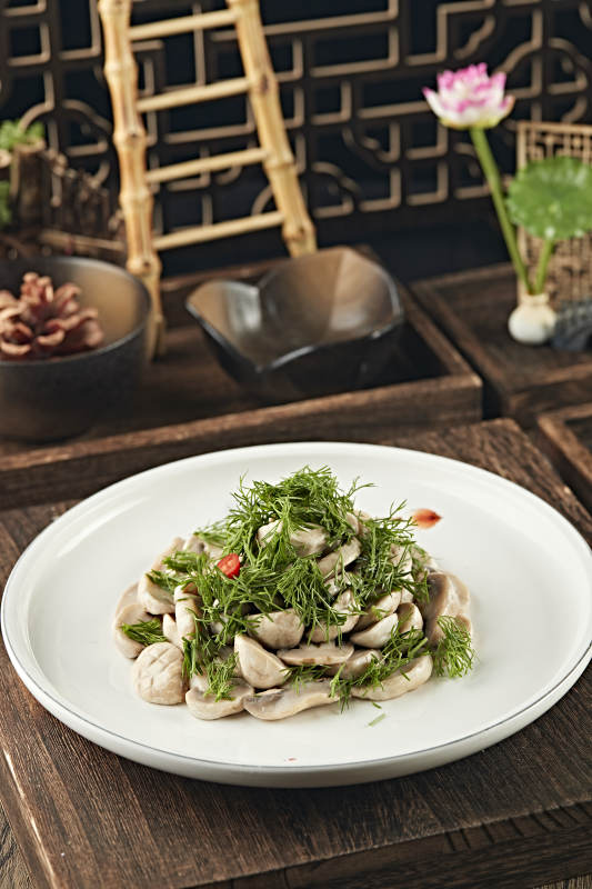 茴香碎凉拌塞外口蘑