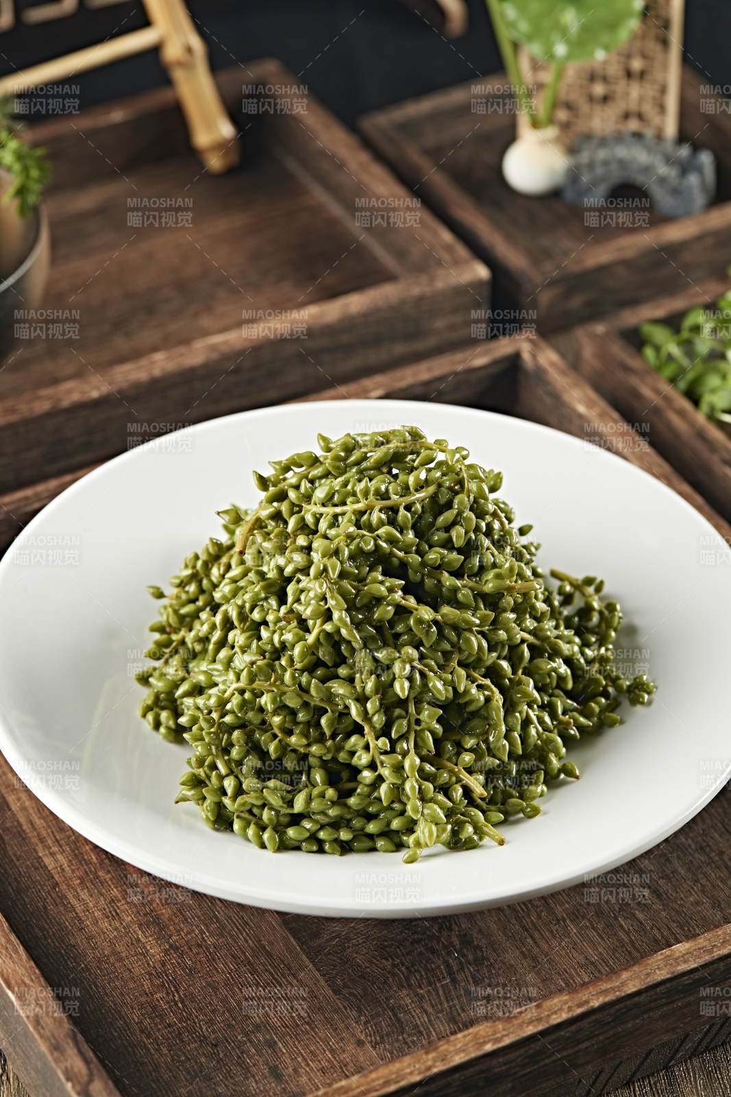 養生野菜楊樹芒