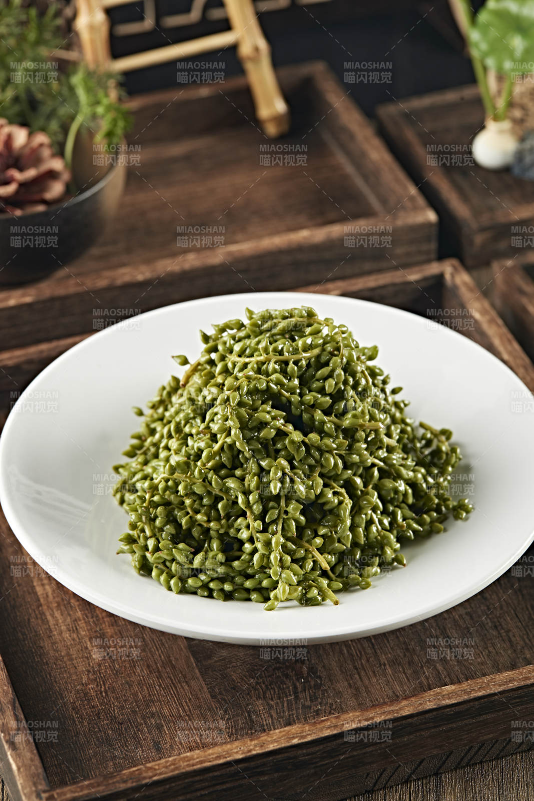 養生野菜楊樹芒