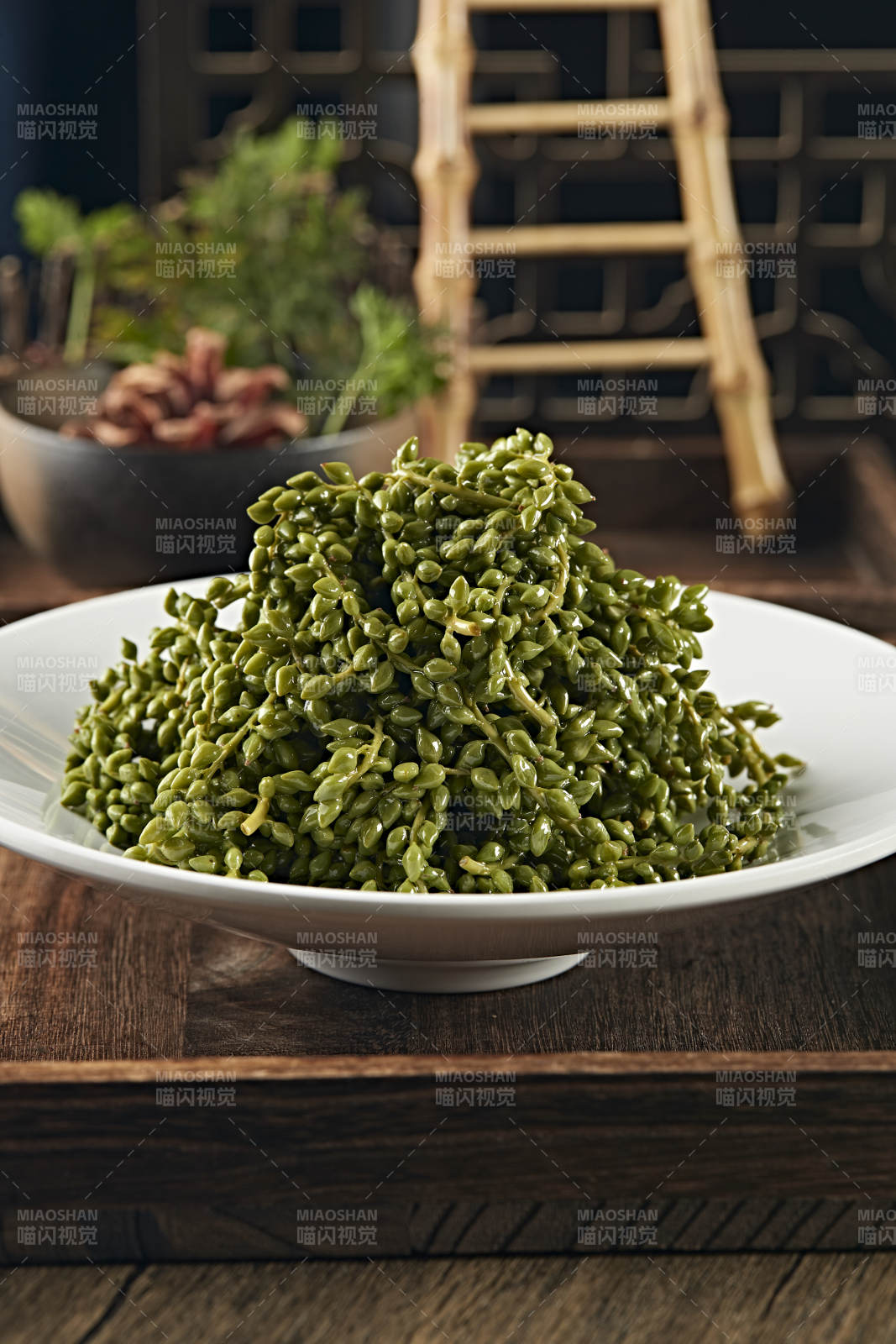 養(yǎng)生野菜楊樹芒