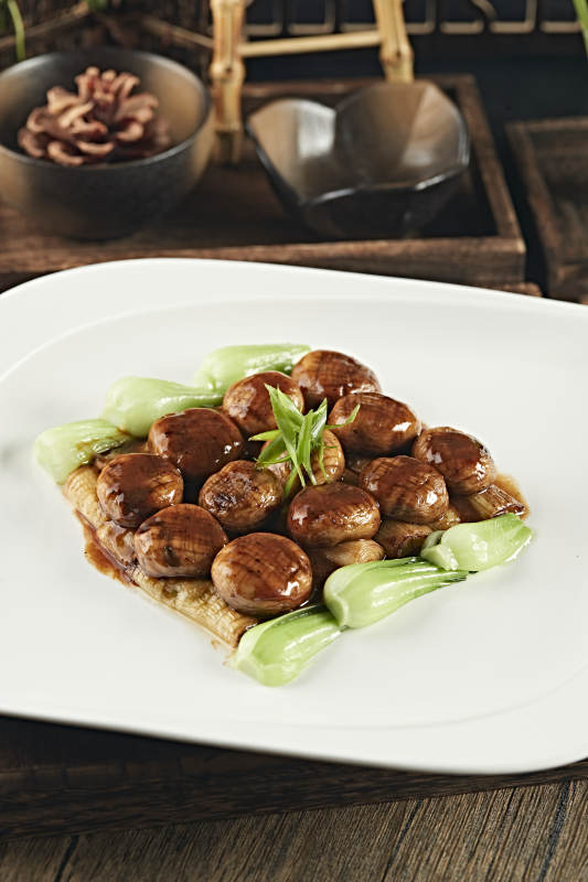 醬燒塞外張垣口蘑