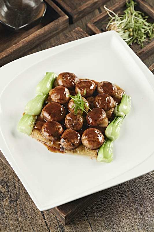 醬燒塞外張垣口蘑