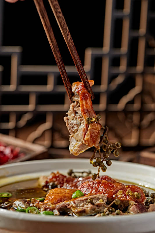 砂锅藤椒椒麻炖老鸭