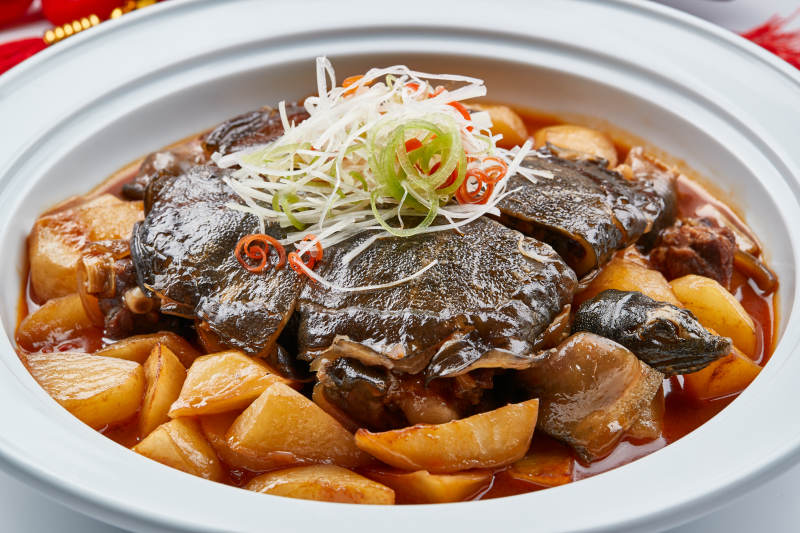 白色砂锅装的滋补萝卜炖甲鱼