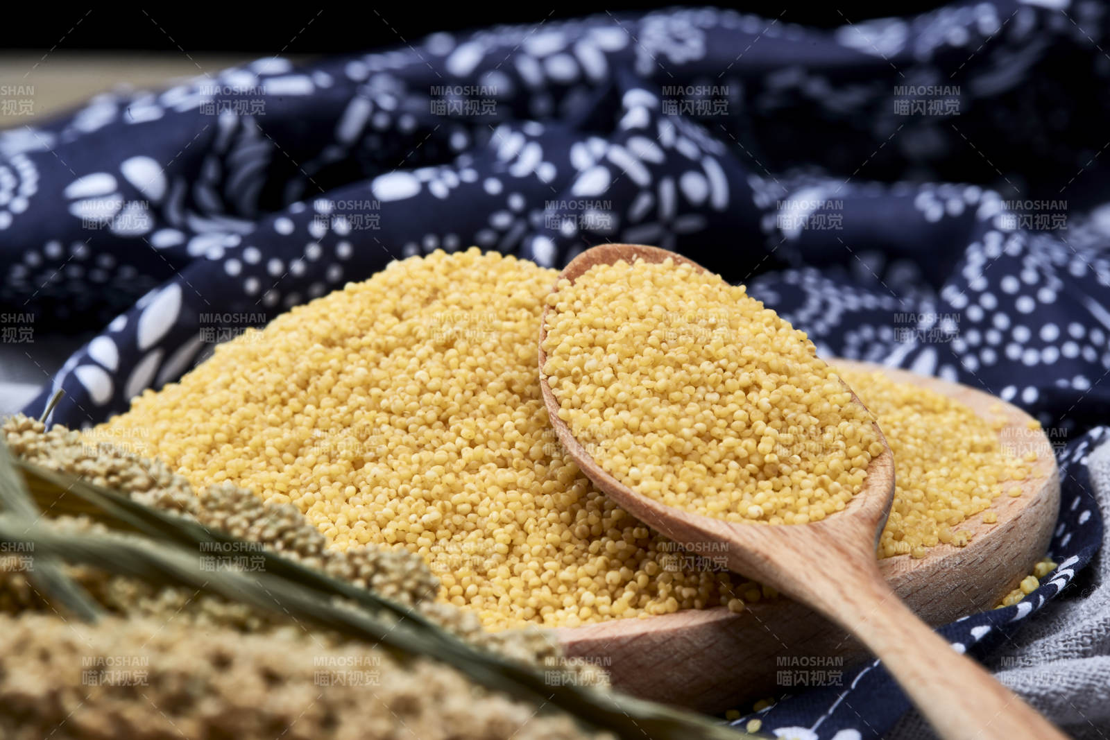 質量上乘的金黃小米粟米