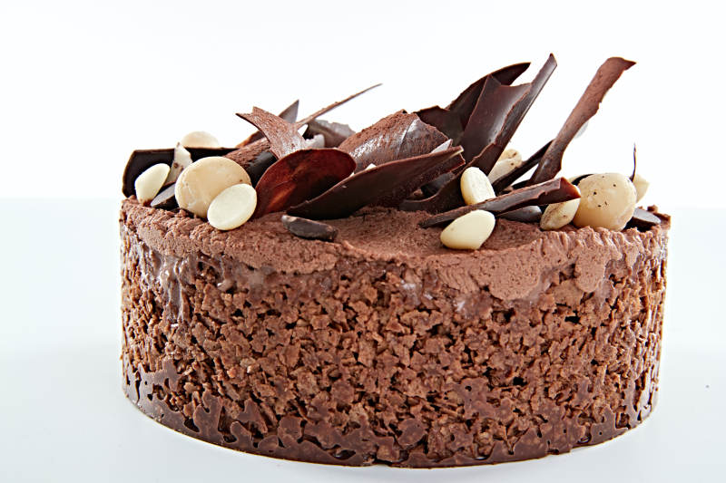 可可散粉黑森林堅果冰淇淋蛋糕